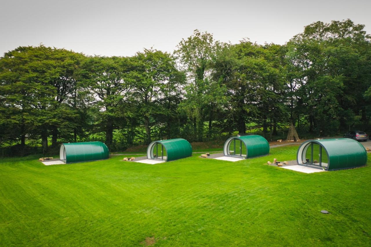 Further Space At Thornfield Luxury Glamping Pods, The Dark Hedges, Ballycastle Ballymoney Zewnętrze zdjęcie